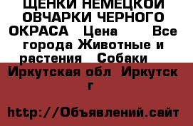 ЩЕНКИ НЕМЕЦКОЙ ОВЧАРКИ ЧЕРНОГО ОКРАСА › Цена ­ 1 - Все города Животные и растения » Собаки   . Иркутская обл.,Иркутск г.